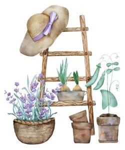 Ilustrace Beautiful lavender provence watercolor illustration, VYCHEGZHANINA, (40 x 40 cm)