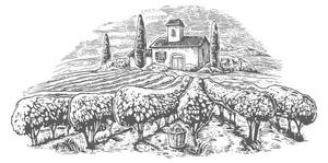 Ilustrace Rural landscape with villa, vineyard fields, DenPotisev