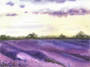Ilustrace Watercolor lavender field, hand drawn Provencal, Elena Dorosh