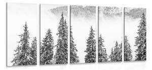 5-dílný obraz zasněžené borové stromy v černobílém provedení Varianta: 200x100