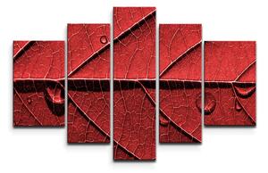 Sablio Obraz - 5-dílný Červený list - 125x90 cm