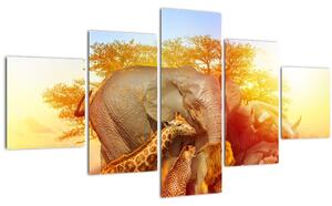 Obraz afrických zvířátek (125x70 cm)