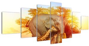 Obraz afrických zvířátek (210x100 cm)