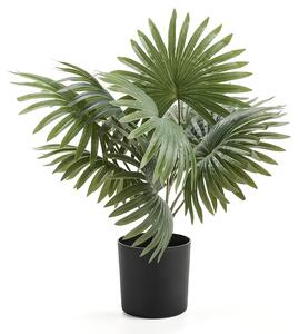 AJ Produkty Umělá rostlina EVERGREEN, palma, výška 480 mm, 1 ks