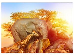 Obraz afrických zvířátek (70x50 cm)
