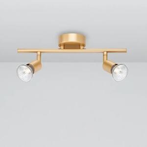 Designové bodové svítidlo Gropius 31 zlaté