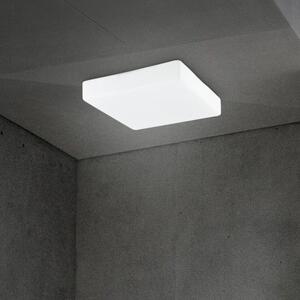 Moderní stropní svítidlo Cube 20.5 bílé