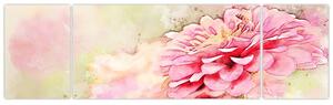 Obraz - Růžová květina, aquarel (170x50 cm)