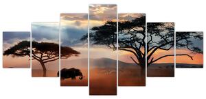 Obraz - Národní park Serengeti, Tanzánie, Afrika (210x100 cm)
