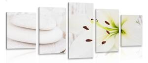 5-dílný obraz lilie a masážní kameny v bílém provedení Varianta: 100x50