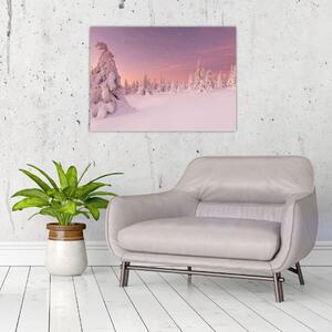 Obraz - Stromy pod sněhovou přikrývkou (70x50 cm)