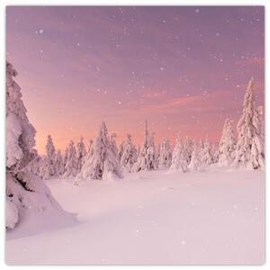 Obraz - Stromy pod sněhovou přikrývkou (30x30 cm)