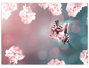Skleněný obraz - Motýl mezi květy (70x50 cm)