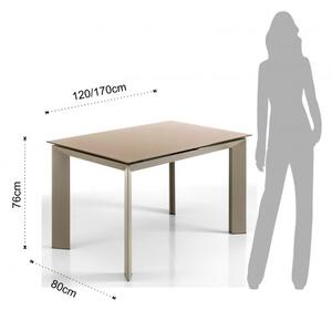 Rozkládací jídelní stůl BLADE 120-170cm TORTORA TOMASUCCI (barva - šedohnědé sklo, šedohnědé lakované matné nohy)