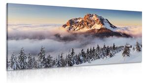 Obraz Rozsutec ve sněhové peřině Varianta: 100x50