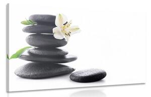 Obraz Zen kameny s lilií Varianta: 60x40