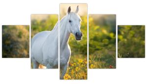 Obraz bílého koně na louce (125x70 cm)