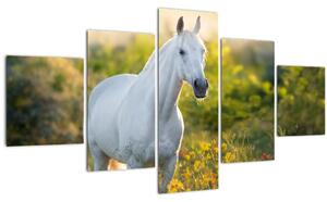 Obraz bílého koně na louce (125x70 cm)