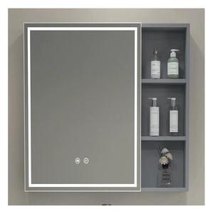 BRILAGI - LED Zrcadlová koupelnová skříňka s podsvícením AVOLA SINGLE 55x70 cm