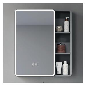 BRILAGI - LED Zrcadlová koupelnová skříňka s podsvícením AVOLA SINGLE 55x70 cm