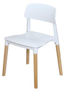 Jídelní židle GAMA bílá (Jídelní židle)