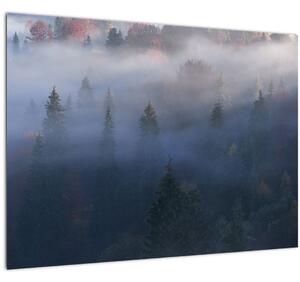 Skleněný obraz - Les v mlze, Karpaty, Ukrajina (70x50 cm)