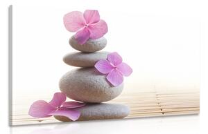 Obraz balanc kamenů a růžové orientální květy Varianta: 60x40