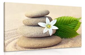Obraz bílý květ a kameny v písku Varianta: 90x60