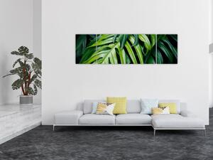 Obraz - Tropické listy (170x50 cm)