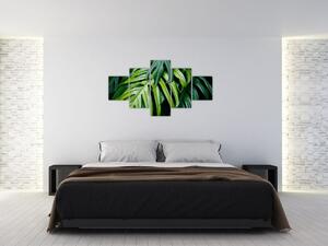 Obraz - Tropické listy (125x70 cm)