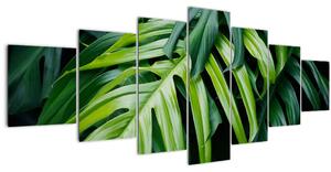 Obraz - Tropické listy (210x100 cm)