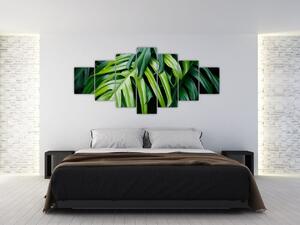 Obraz - Tropické listy (210x100 cm)