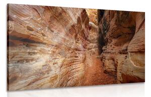 Obraz cestička Grand Canyonem Varianta: 90x60