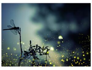 Obraz - Vážka za třpytivé noci (70x50 cm)