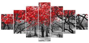 Obraz - Červené stromy, Central Park, New York (210x100 cm)