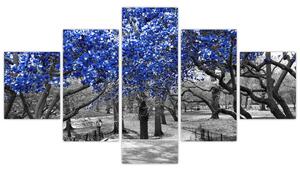 Obraz - Modré stromy, Central Park, New York (125x70 cm)