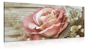 Obraz elegantní vintage růže Varianta: 100x50