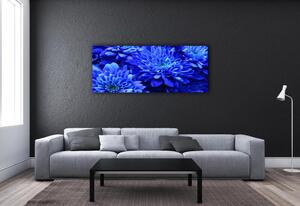 Fotoobraz na skle Modrá astra cz-obglass-125x50-64208626