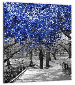 Obraz - Modré stromy, Central Park, New York (30x30 cm)