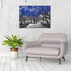 Obraz - Modré stromy, Central Park, New York (70x50 cm)