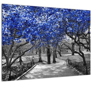 Skleněný obraz - Modré stromy, Central Park, New York (70x50 cm)