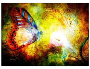Obraz - Kosmický motýl (70x50 cm)