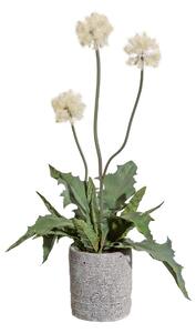 Gasper Umělá květina Bodlák bílý, 55 cm