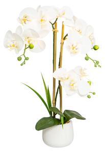 Gasper Umělá květina Orchidej s 11 LED, 60 cm, krémová