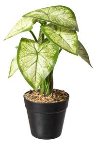 Gasper Uměla rostlina Kaládium, zelená, 30 cm