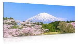 Obraz hora Fuji Varianta: 120x60