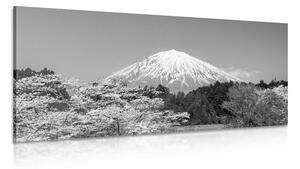 Obraz hora Fuji v černobílém provedení Varianta: 120x60