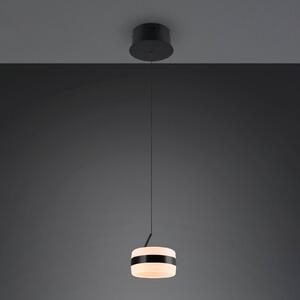 Trio Lighting LED závěsné světlo Dios, černé, Ø 15 cm, kov,, stmívatelný, Černá, Obývací pokoj / jídelna, kov, Moderní