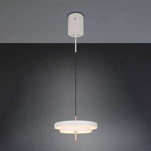Trio Lighting Závěsné světlo LED Keaton, světle šedé, Ø 40 cm, kov,, stmívatelný, Hliník / šedá / zinek, Obývací pokoj / jídelna, kov