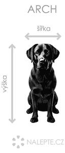 Labradorský retriever textilní přelepitelná samolepka na zeď arch 19 x 45 cm